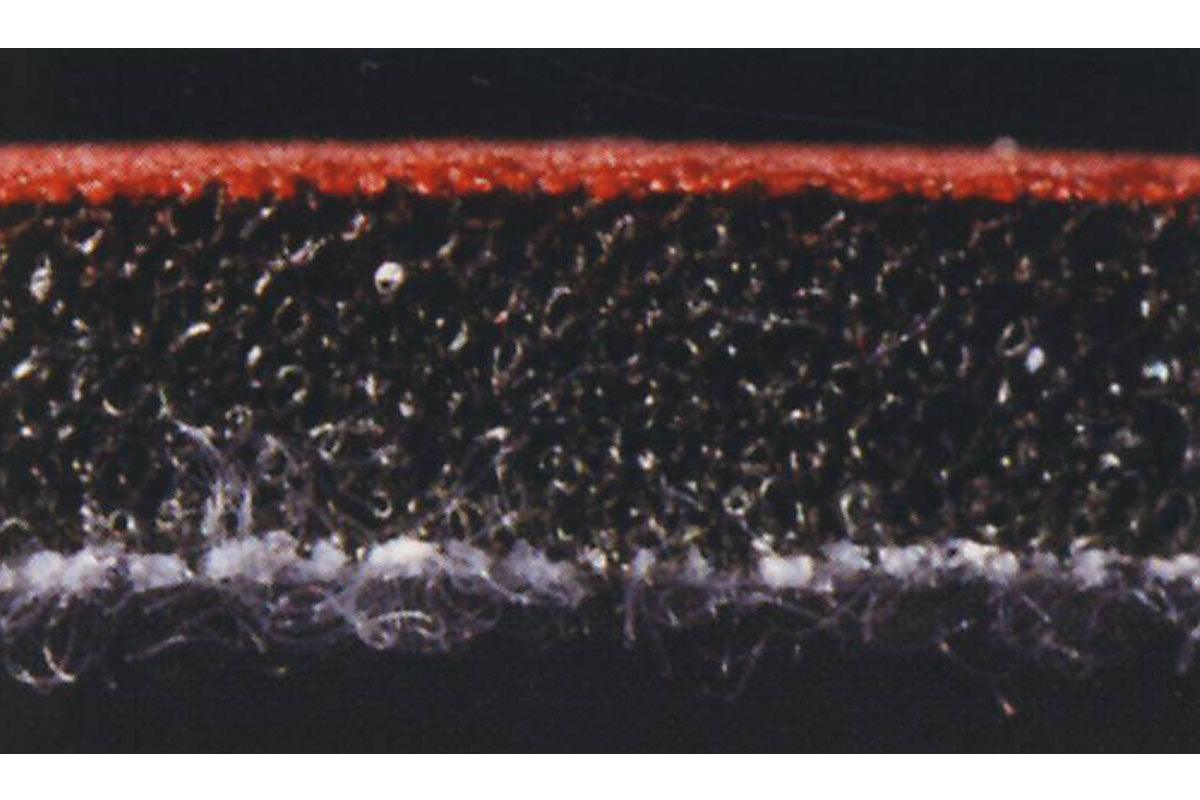 RUPES X-CUT Foam Abrasive, 75mm, P2000, 3"